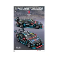 2021 Bathurst Winning Print